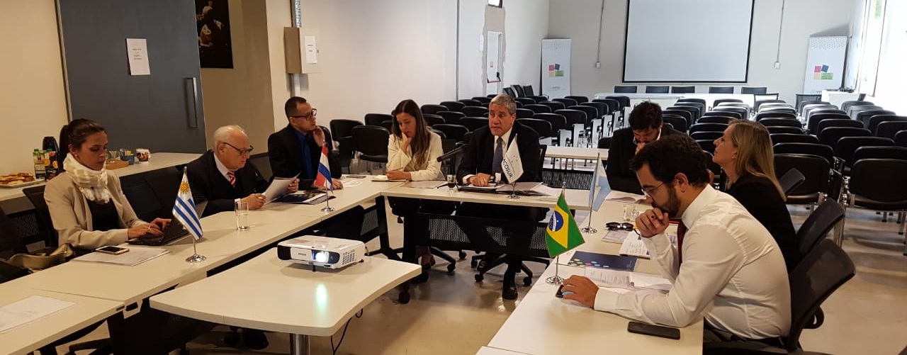 Segunda reunión del año del Consejo de Representantes Gubernamentales IPPDH