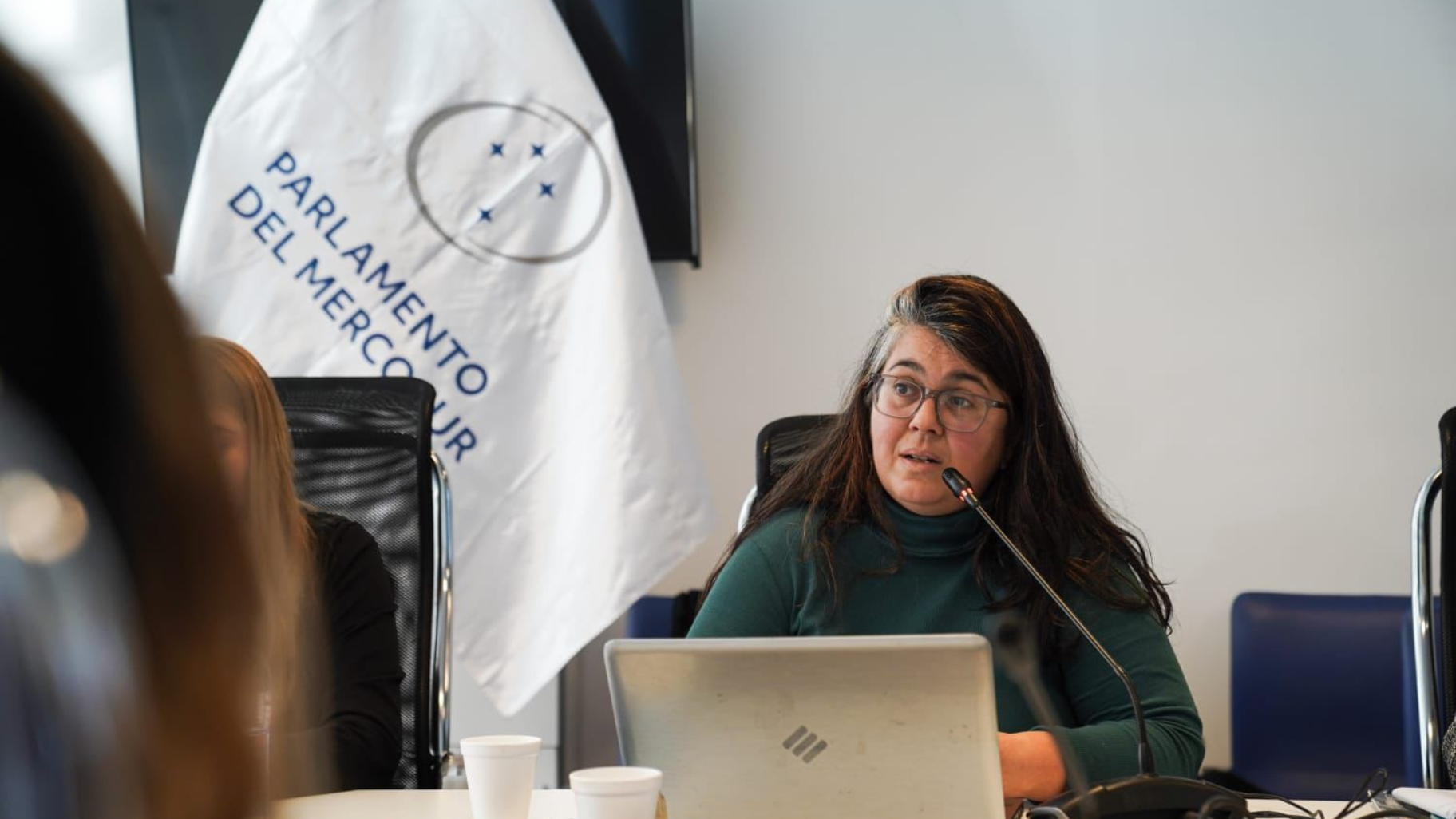 El IPPDH participó de la Audiencia Pública del PARLASUR “El Acceso a la Salud como Derecho Humano: Desafíos para la región”